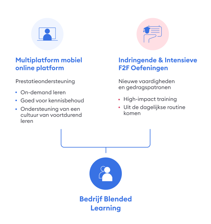 Bedrijf Blended Learning