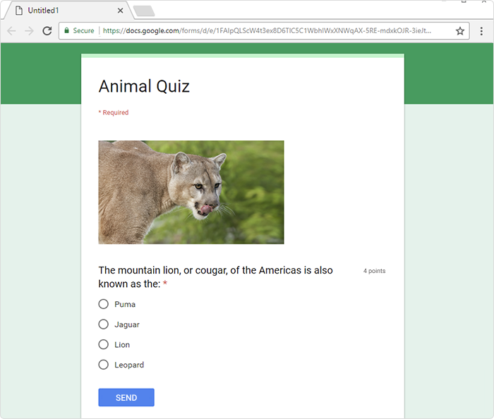 Google Forms Google Forms