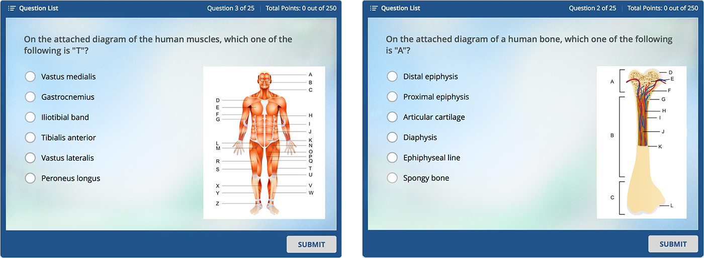 Quiz van Learning Nurse