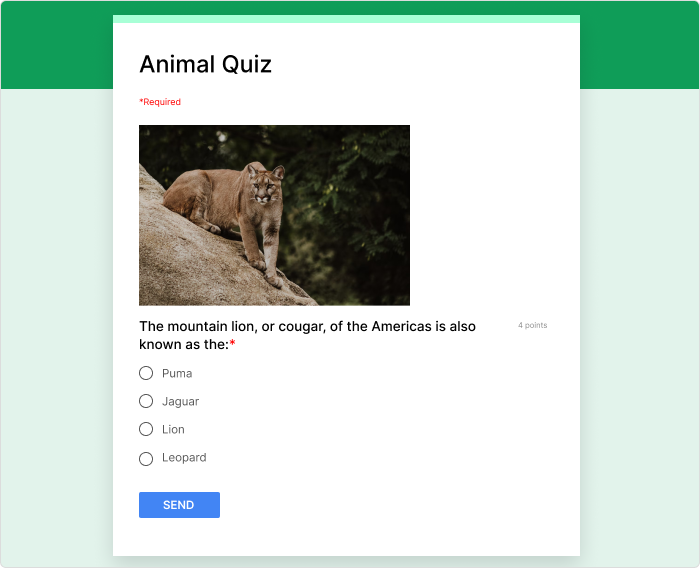 Google Forms + Flubaroo